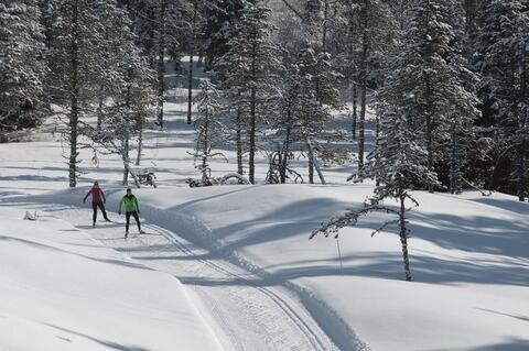 https://pass.espacenordiquejurassien.com/recherche/HAUTE-JOUX/haute-joux/pass-seance-ski https://pass.espacenordiquejurassien.com/recherche/HAUTE-JOUX/haute-joux/pass-seance-ski