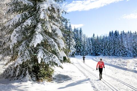https://pass.espacenordiquejurassien.com/recherche/BUGEY-HAUTEVILLE/plateau-d-hauteville/pass-seance-ski-de-fond https://pass.espacenordiquejurassien.com/recherche/BUGEY-HAUTEVILLE/plateau-d-hauteville/pass-seance-ski-de-fond