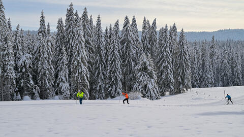 /recherche/GILLEY/secteur-montbenoit/pass-seance-ski /recherche/GILLEY/secteur-montbenoit/pass-seance-ski