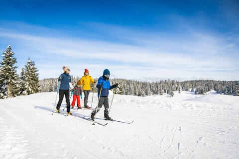 https://pass.espacenordiquejurassien.com/recherche/VAL-DE-MORTEAU/val-de-morteau/pass-seance-ski https://pass.espacenordiquejurassien.com/recherche/VAL-DE-MORTEAU/val-de-morteau/pass-seance-ski